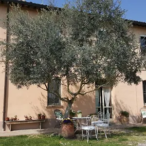  Couette-café La Palazza Italie